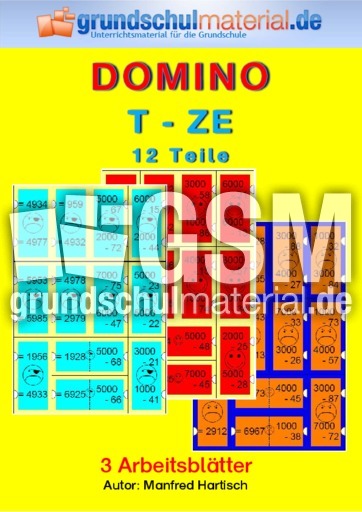 Domino_T-ZE_12.pdf